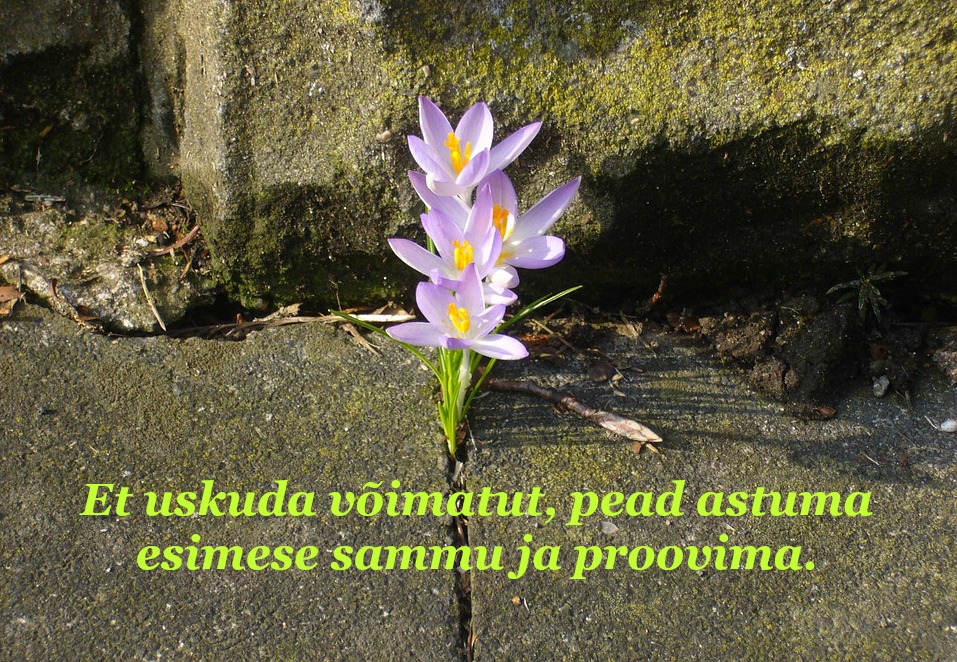Võimatu saab võimalikuks
