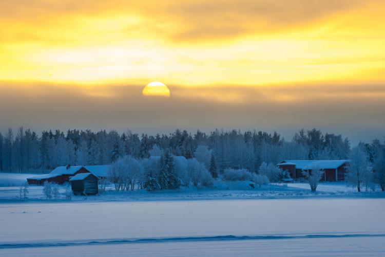 Pööripäeva nõiatembud Tahma-Toomaga